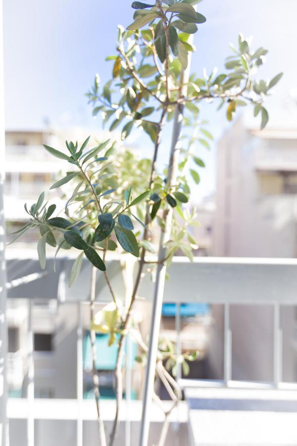 Beautiful And Comfortable Apartment At Marina Zeas Piraeus Ngoại thất bức ảnh